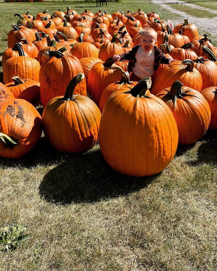 Iowa Fall Festival - Iowa Fall Festival