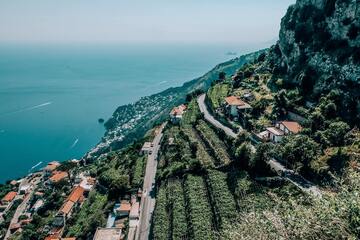 Behind the Curtain: Central European Wines