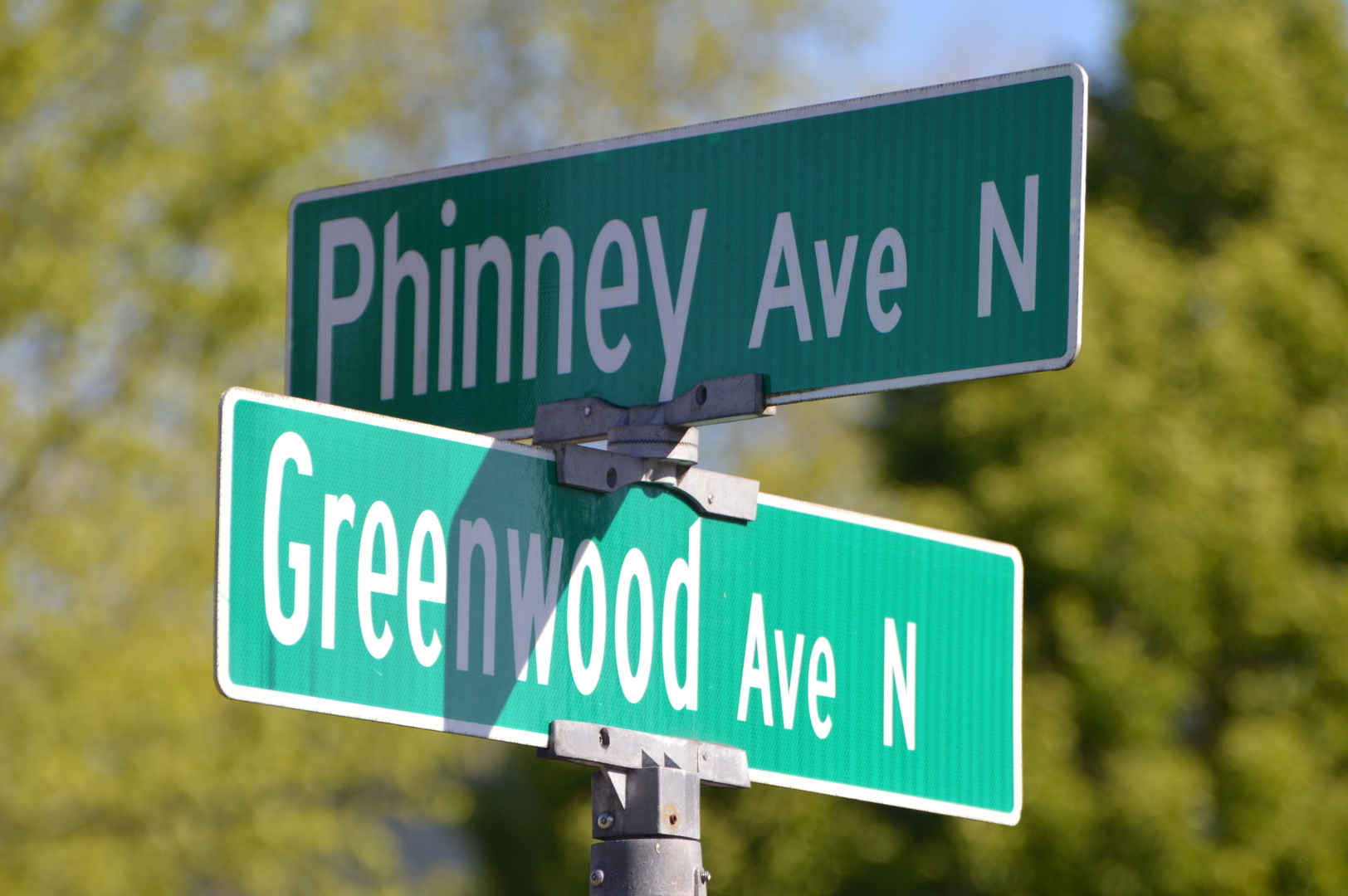 Bite of Phinneywood - Bite of Phinneywood