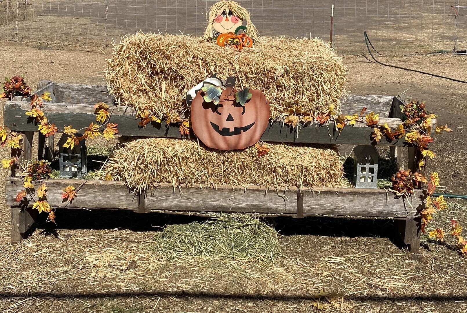 Farm Fall Fest - Farm Fall Fest