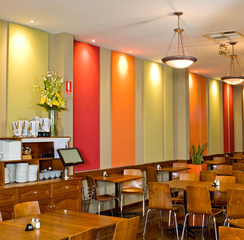 Timber Acoustic Wall Panels – Style Meets Sound Performance