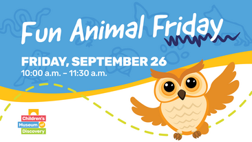 Fun Animal Friday: Owls