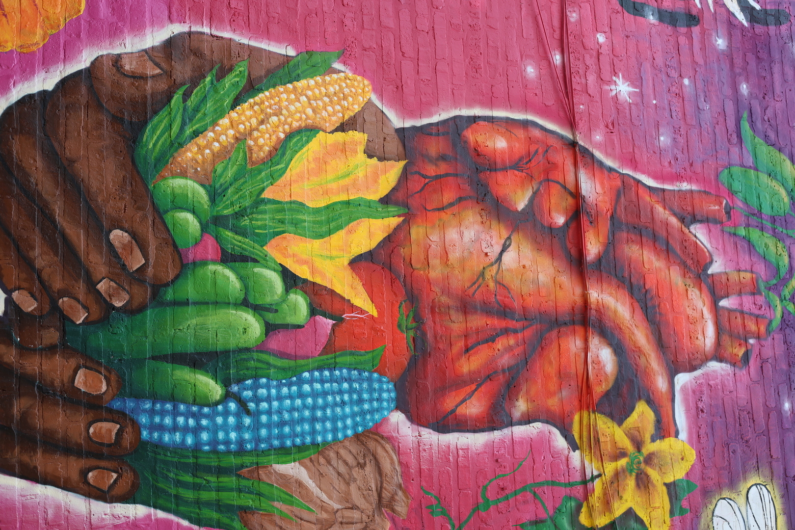 McKinley Community Pop Ups - McKinley Community Pop Ups