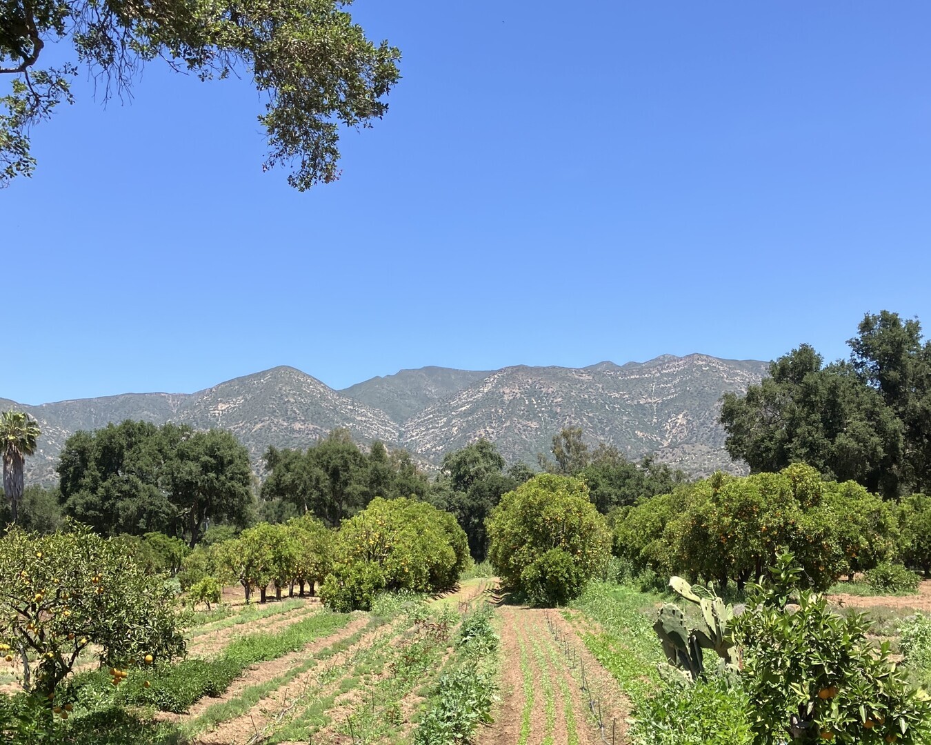 Los Padres ForestWatch - Wilderness Table - Ojai - Los Padres ForestWatch - Wilderness Table - Ojai