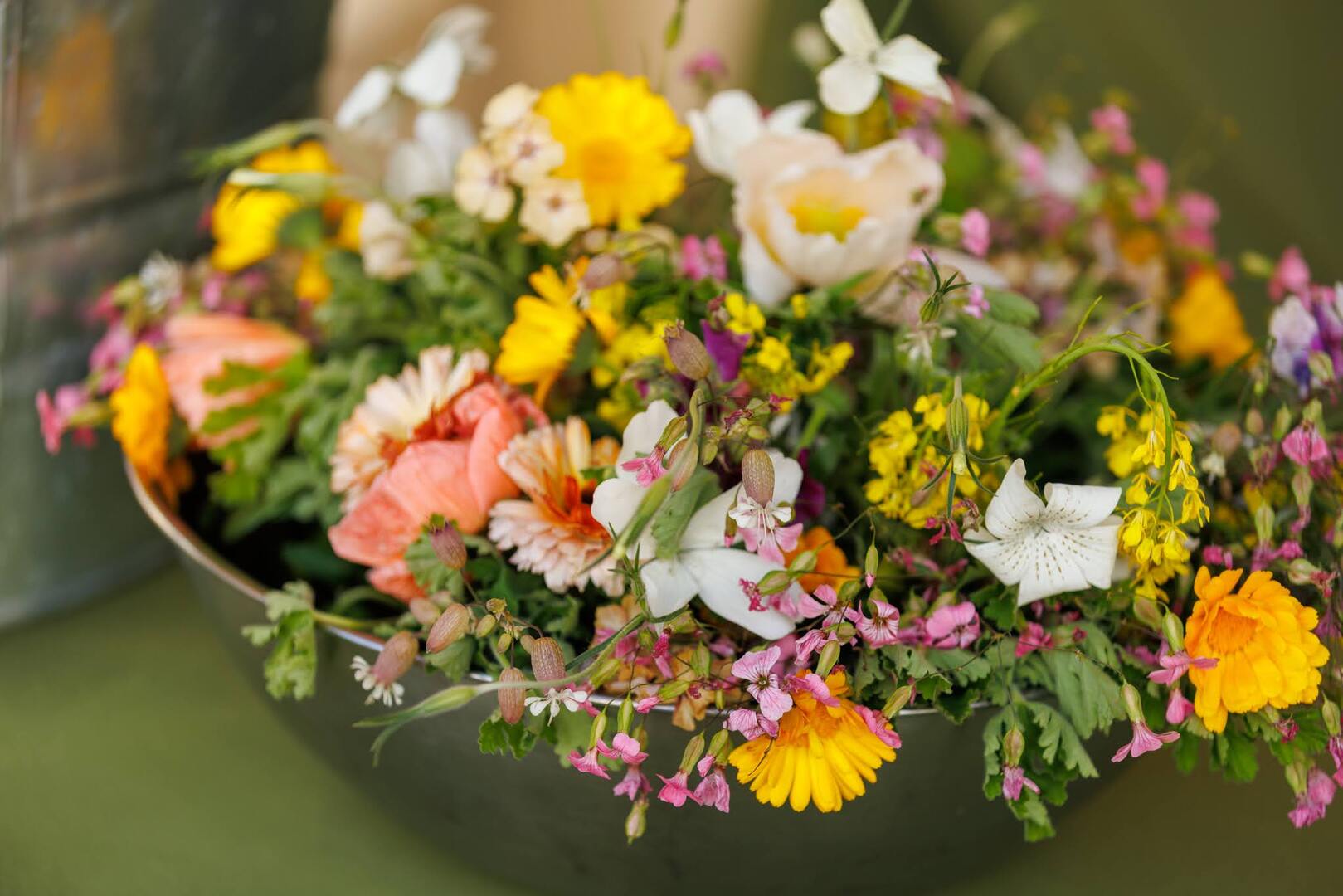 Los Padres ForestWatch - Wilderness Table - Ojai - Los Padres ForestWatch - Wilderness Table - Ojai