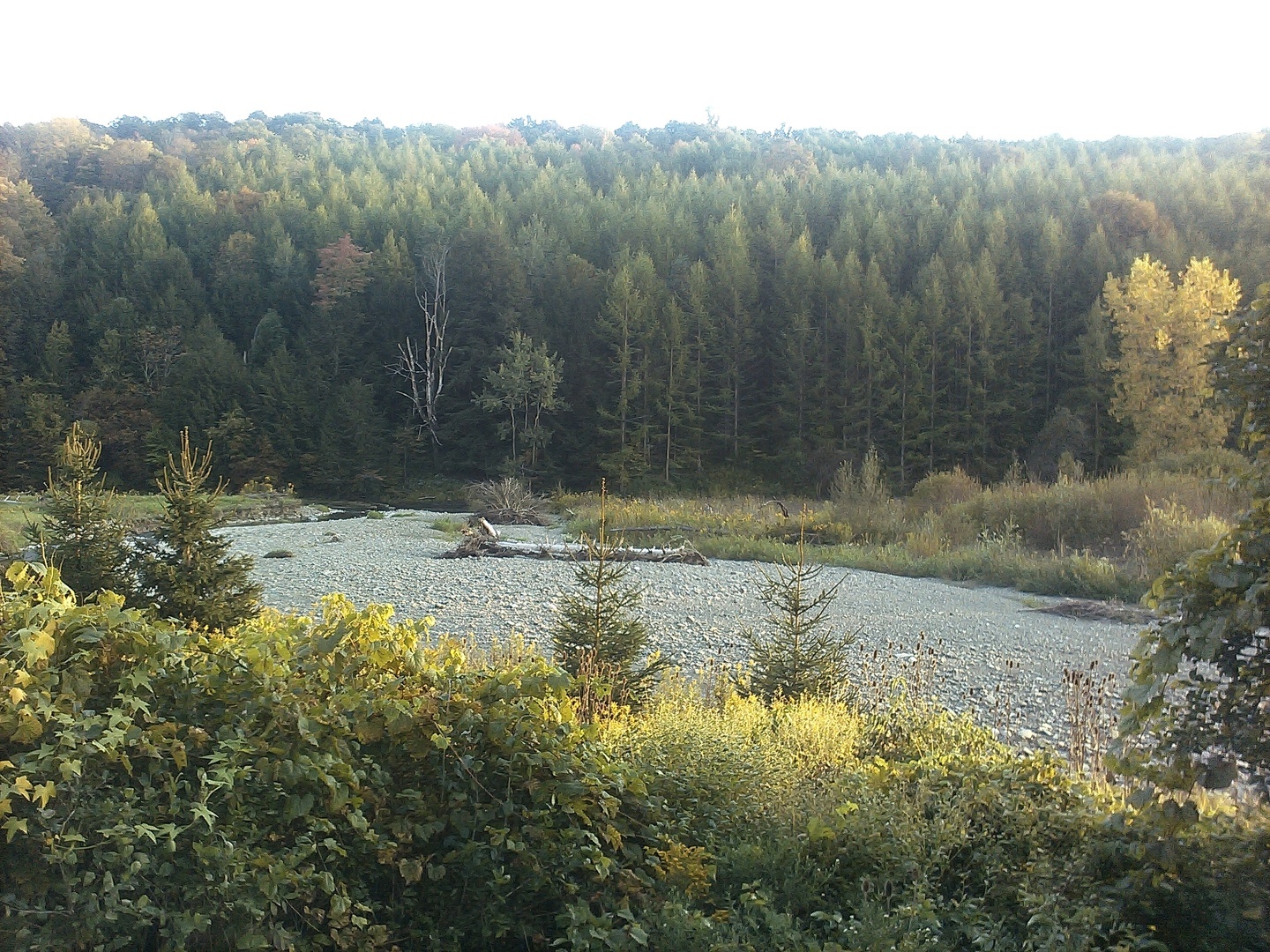 Chicken BBQ at Lee Community Church