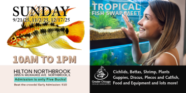 Giant Tropical Fish Swap Meet 9-21-2025