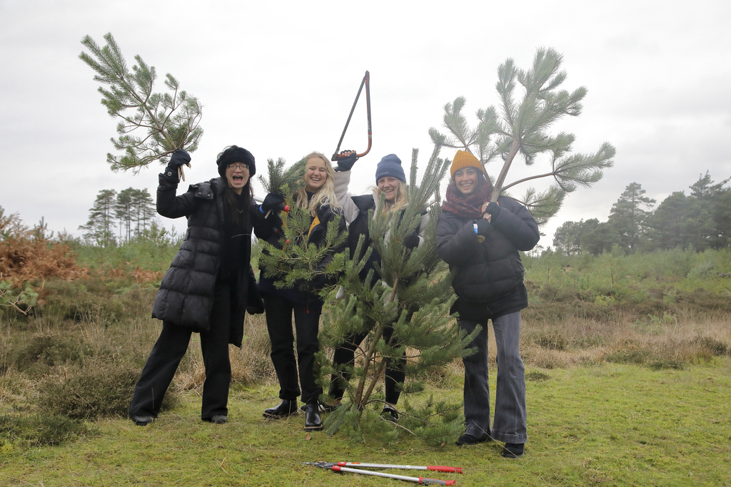Dorset Christmas Festival: Pull a Pine at RSPB Arne - Dorset Christmas Festival: Pull a Pine at RSPB Arne