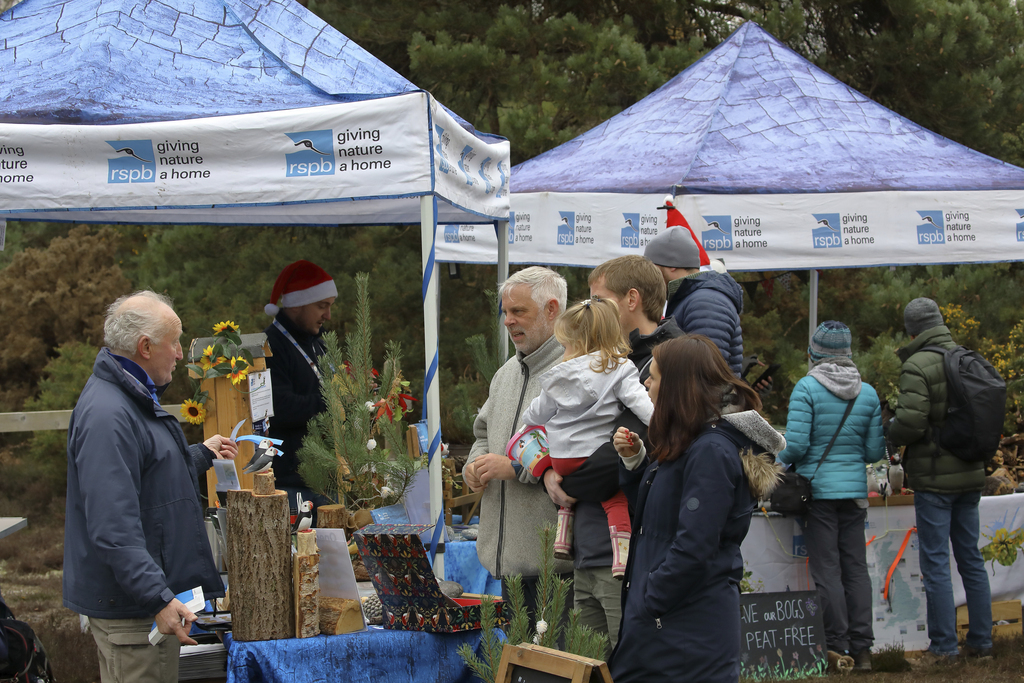 Dorset Christmas Festival: Pull a Pine at RSPB Arne - Dorset Christmas Festival: Pull a Pine at RSPB Arne