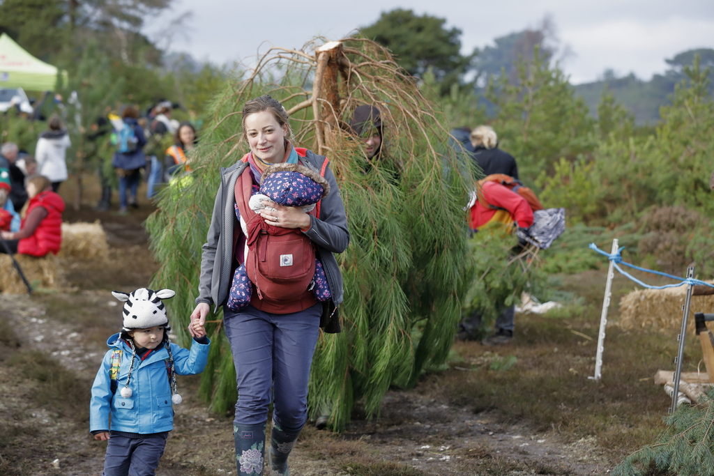Dorset Christmas Festival: Pull a Pine at RSPB Arne - Dorset Christmas Festival: Pull a Pine at RSPB Arne