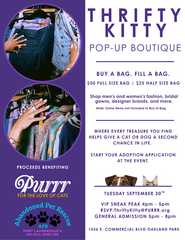PURRR Adoption + Sanctuary and Abandoned Pet Rescue to Host Thrifty Kitty Pop-Up Boutique