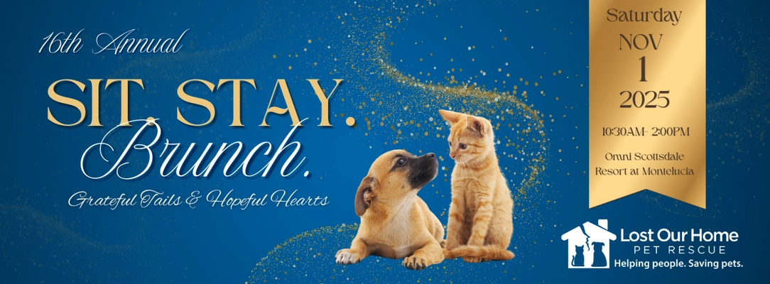 Donation Grand Strand Animal Rescue Get Tickets For Lost Our Home