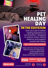 🐾 Pet Healing Day in the EESystem