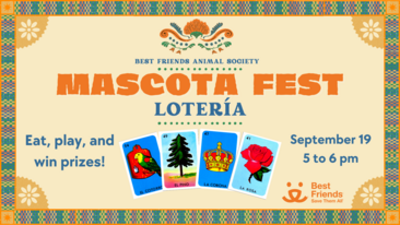Mascot Fest: Loteria Night with Walking Tacos
