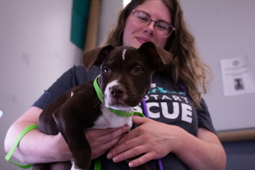 Ruff Start Rescue’s 15th Anniversary Open House & Celebration
