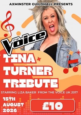 Tina Turner Tribute