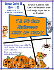 Trek or Treat