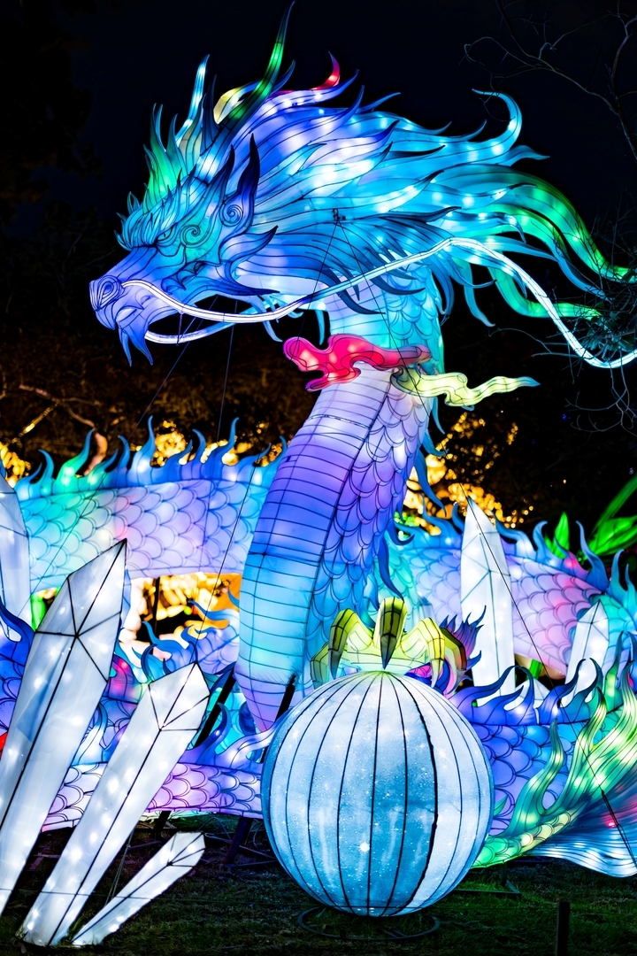 Tianyu Lights Festival - Tianyu Lights Festival