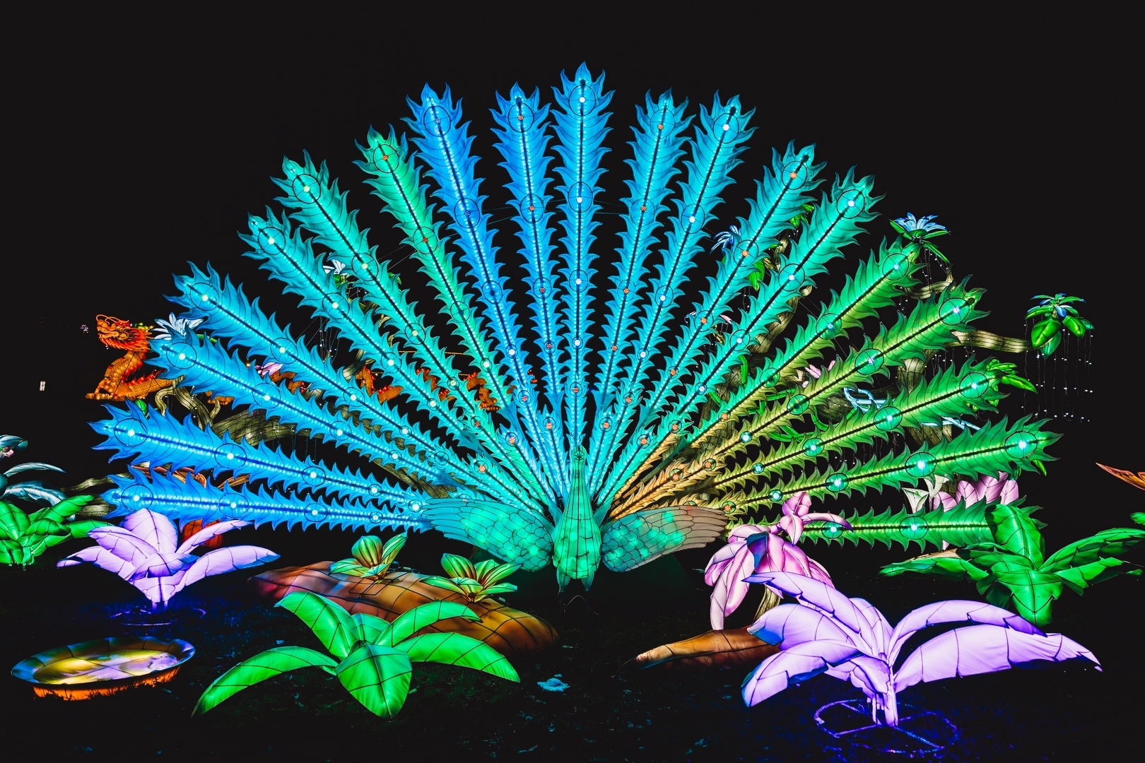 Tianyu Lights Festival - Tianyu Lights Festival