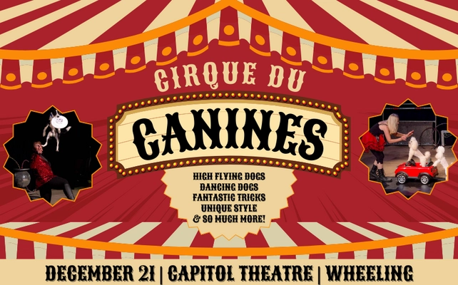 WV Living Events Cirque Du Canines