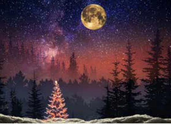 12th Night: A Yule Concert & Viking Feast