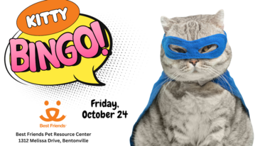 Kitty Bingo