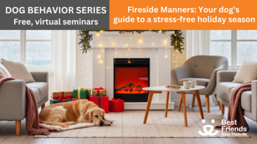 Dog Behavior Seminar Series: Fireside Manners: Your Dog's Guide to a Stress-Free Holiday Season [Vir
