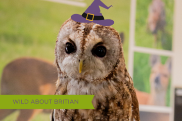 SPOOKY NATIVE WILDLIFE ENCOUNTER