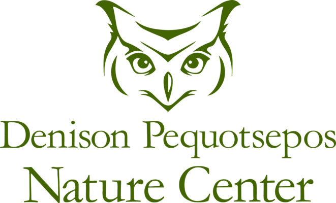 Connecticut Magazine Events Buggin' Out: Tasting the World of