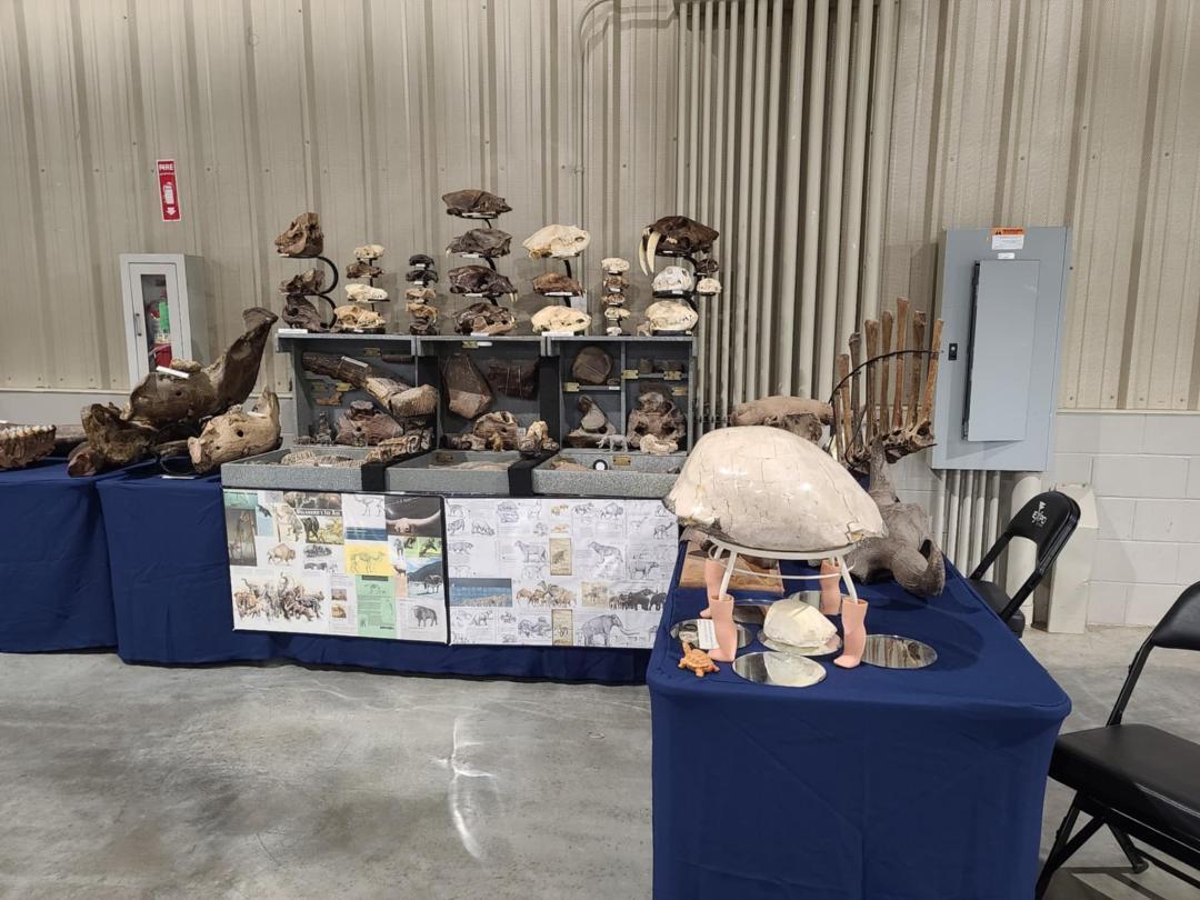 Tulsa Rock, Gem, Mineral and Jewelry Show - Tulsa Rock, Gem, Mineral and Jewelry Show