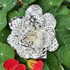 Wyoming News Events Winter Rose Zentangle©