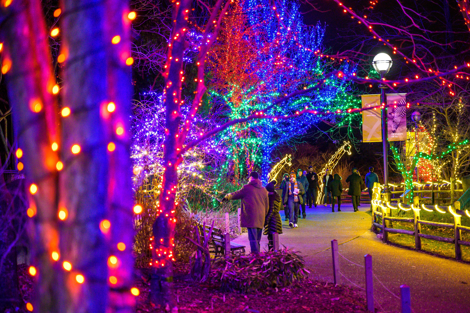 ZooLights Presented by Invesco QQQ and ComEd - ZooLights Presented by Invesco QQQ and ComEd