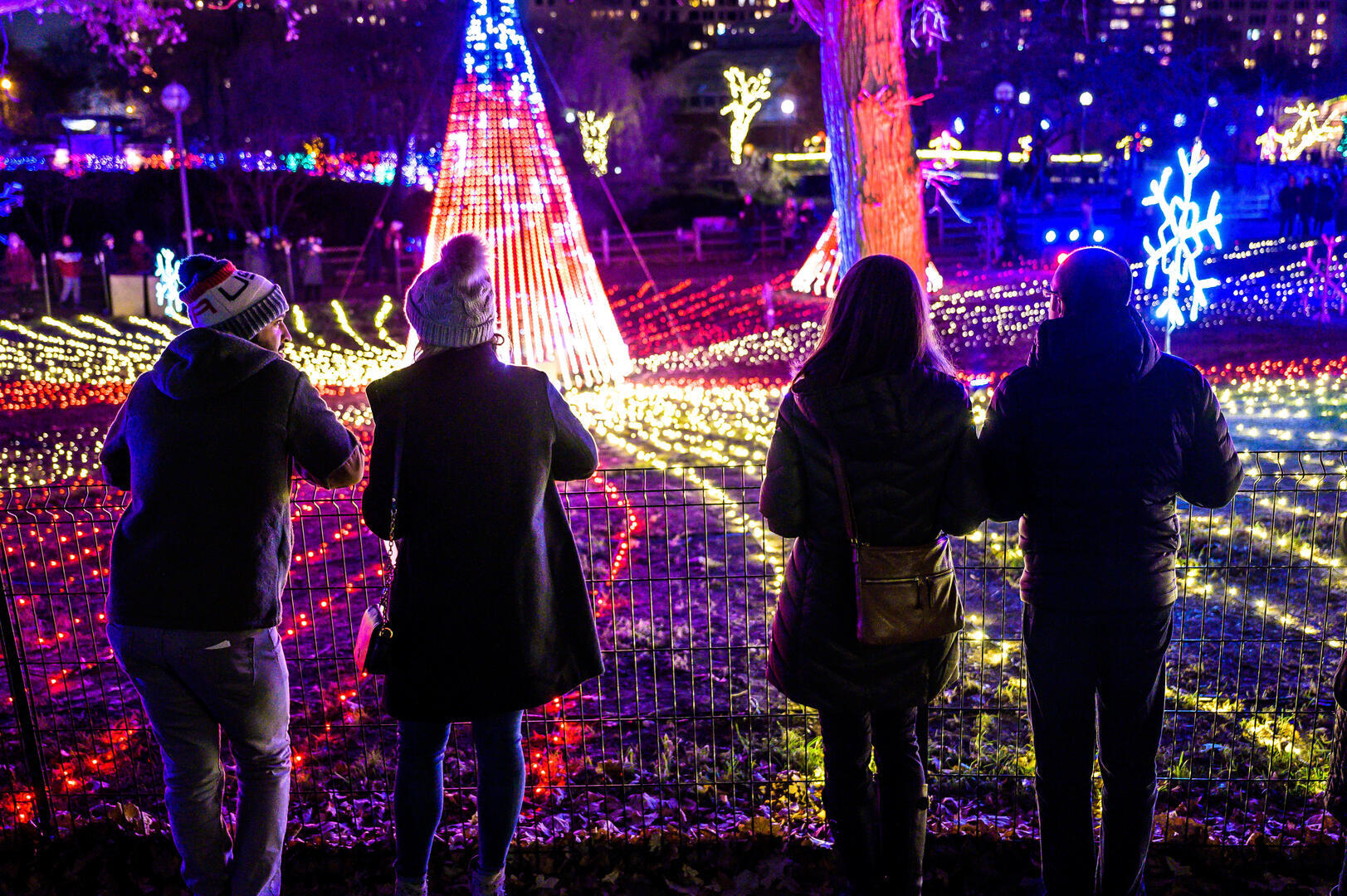 ZooLights Presented by Invesco QQQ and ComEd - ZooLights Presented by Invesco QQQ and ComEd