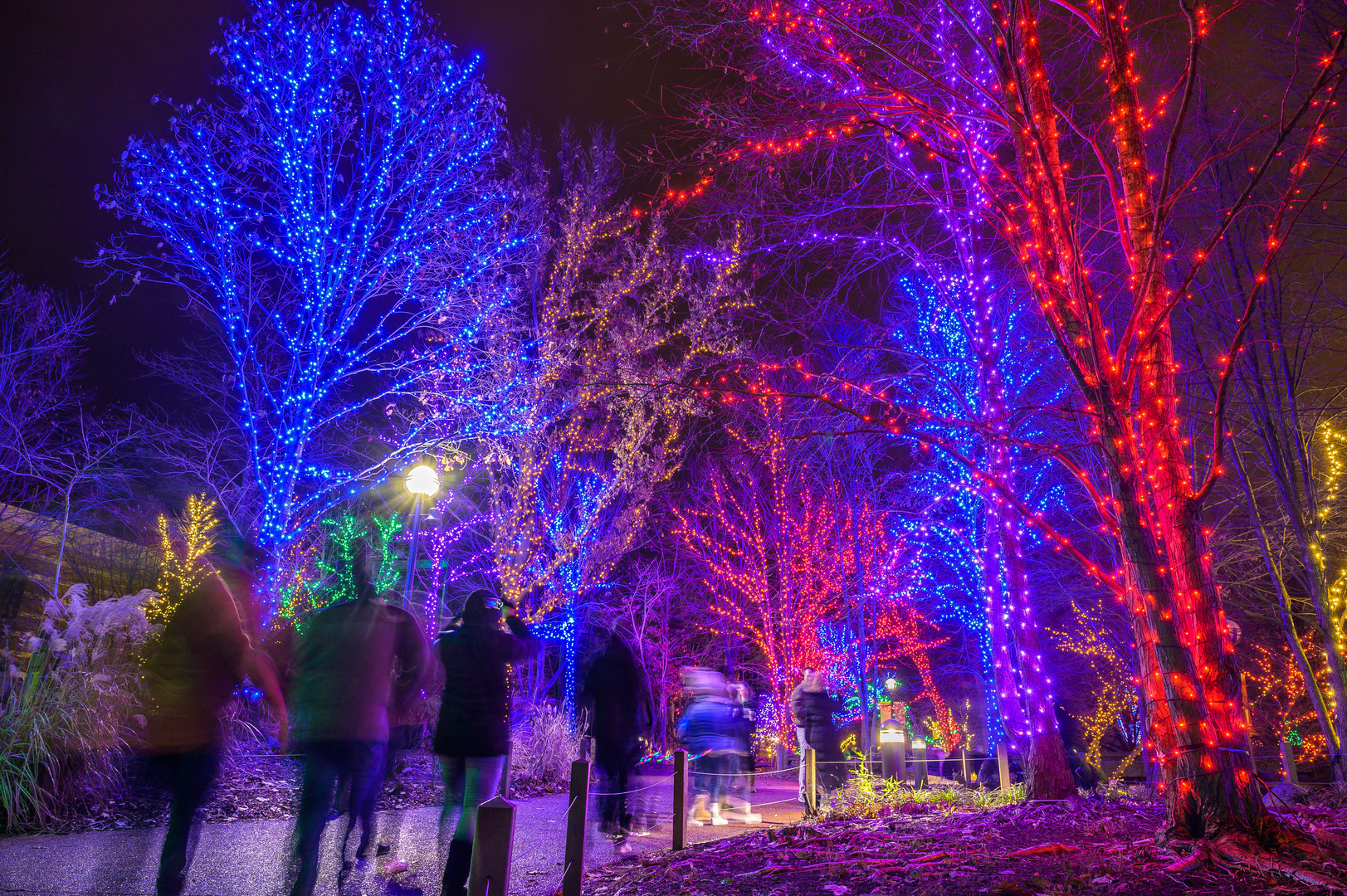 ZooLights Presented by Invesco QQQ and ComEd - ZooLights Presented by Invesco QQQ and ComEd