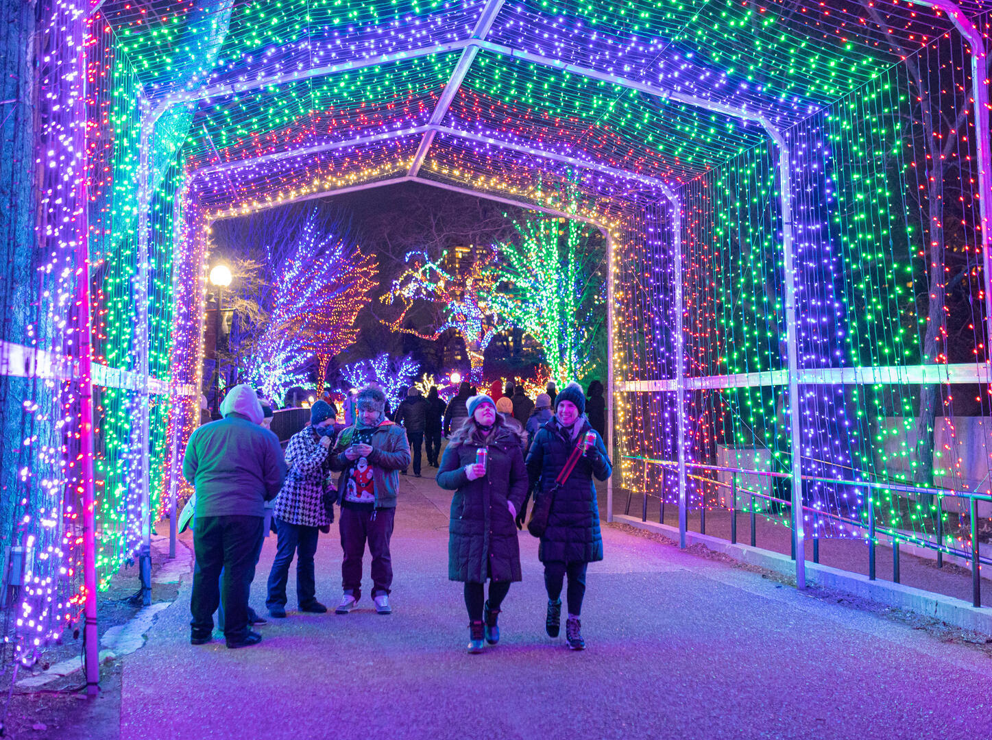 ZooLights Presented by Invesco QQQ and ComEd - ZooLights Presented by Invesco QQQ and ComEd