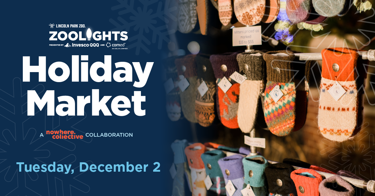 Holiday Market: A Nowhere Collective Collaboration at Lincoln Park Zoo