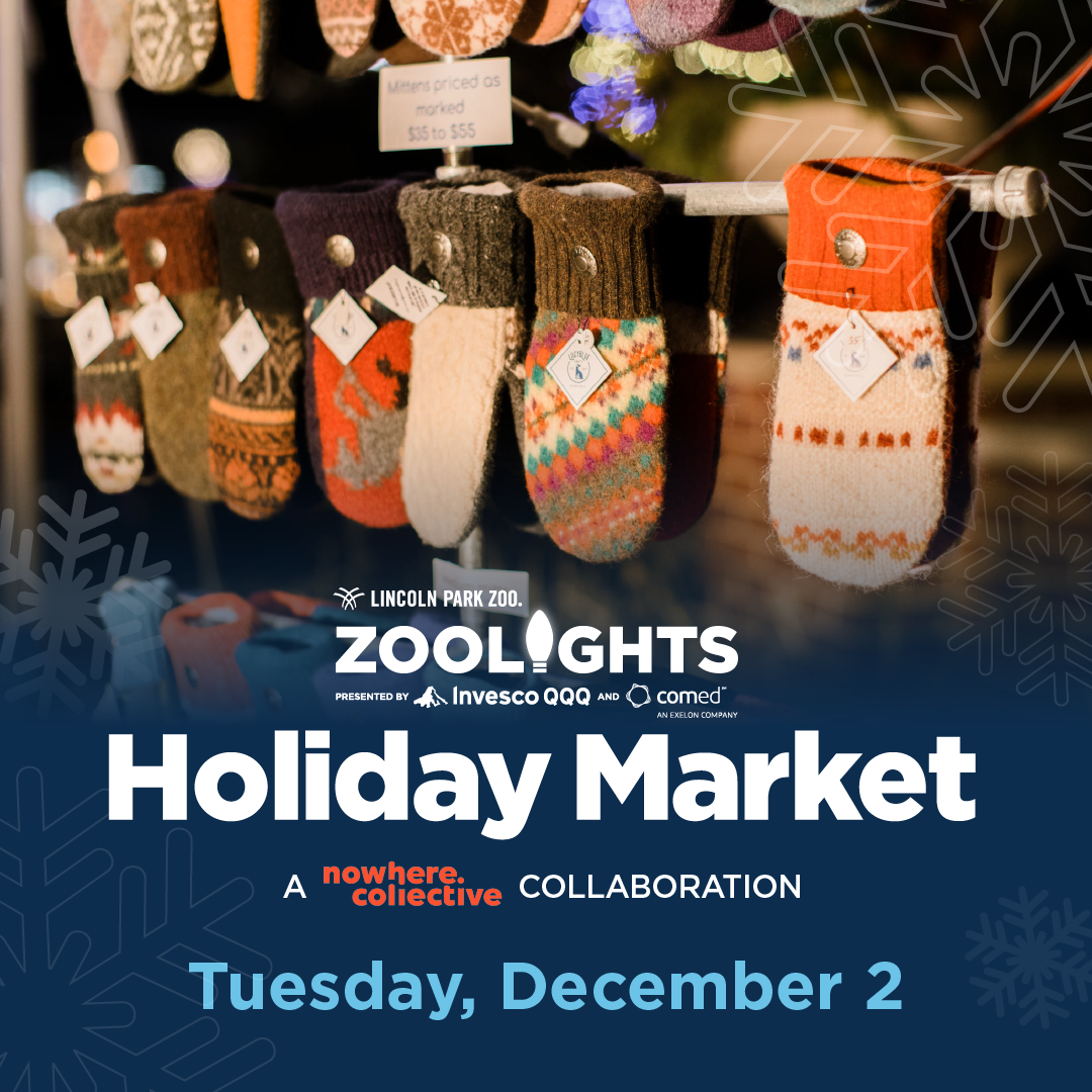 Holiday Market: A Nowhere Collective Collaboration at Lincoln Park Zoo - Holiday Market: A Nowhere Collective Collaboration at Lincoln Park Zoo