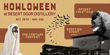 Desert Door Howl-o-Ween Weekend