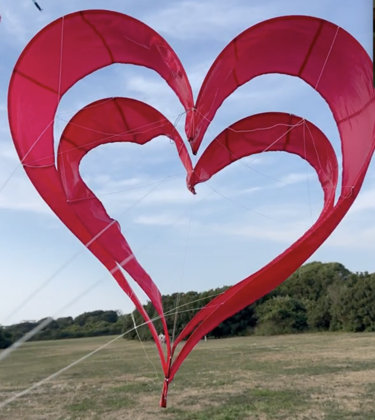 Newport Kite Festival 40th Anniversary - Newport Kite Festival 40th Anniversary