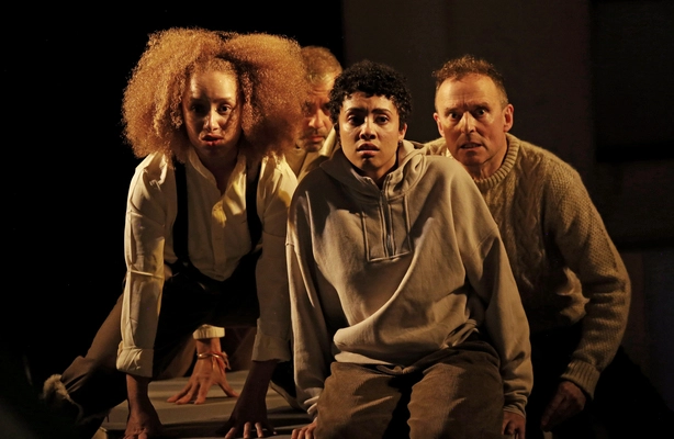 WILD Sat 8th November 7:30pm Vicars Cross Wirral Globe Events