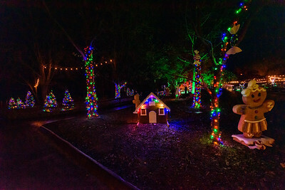 Holiday Lights Walk-Through at Grant's Farm 2025