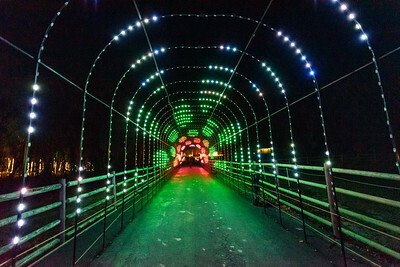 Holiday Lights Walk-Through at Grant's Farm 2025 - Holiday Lights Walk-Through at Grant's Farm 2025