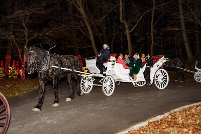 Holiday Lights Walk-Through at Grant's Farm 2025 - Holiday Lights Walk-Through at Grant's Farm 2025