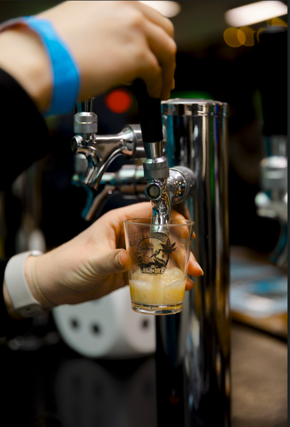 2nd Annual High & Dry Festival - 2nd Annual High & Dry Festival