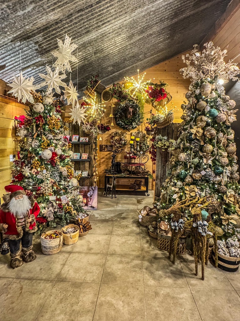 Jingle & Mingle at New Leaf Nursery - Jingle & Mingle at New Leaf Nursery