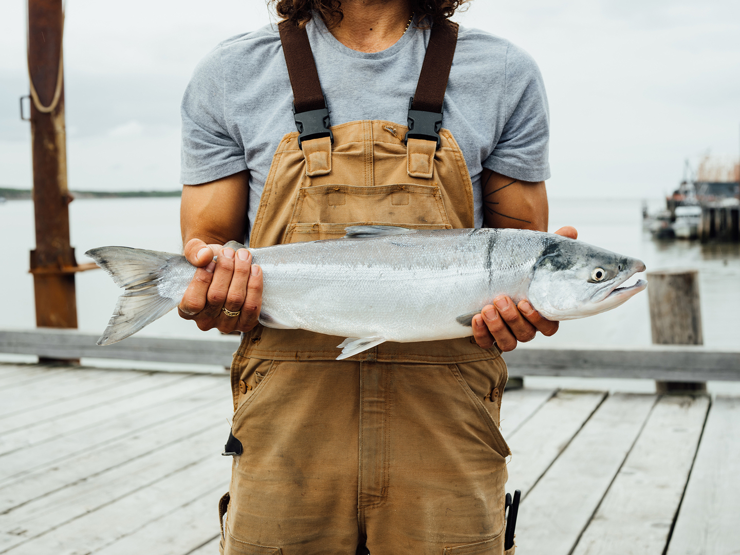 Bristol Bay Salmon Week - Bristol Bay Salmon Week