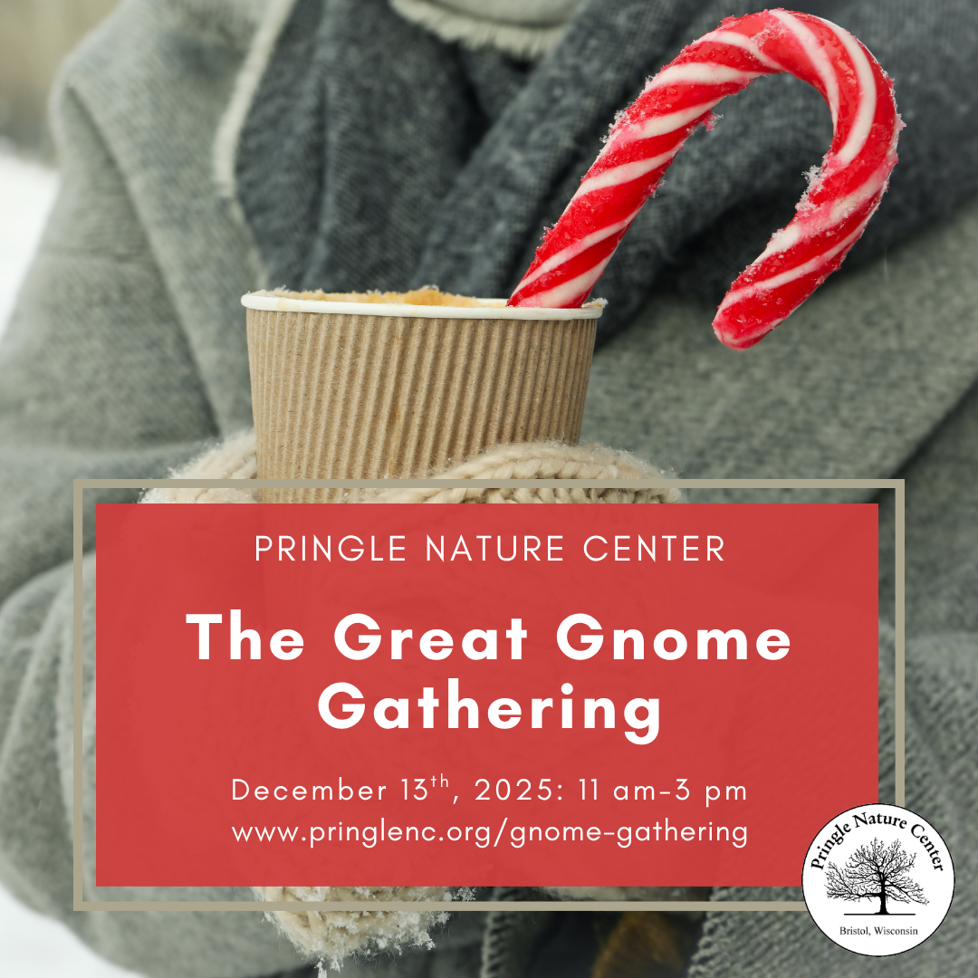 The Great Gnome Gathering