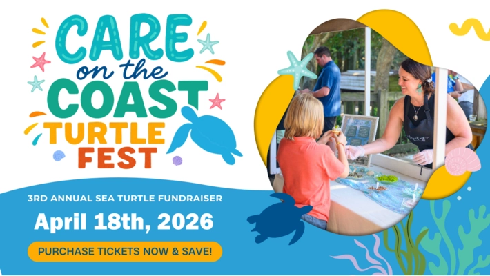 CARE on the Coast TurtleFest 2026 - The Destin Log Events