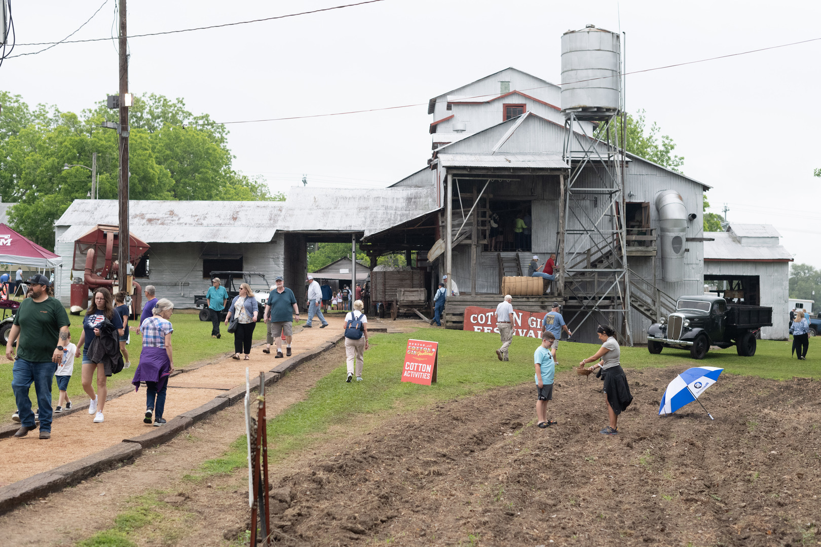 37th Annual Burton Cotton Gin Festival - 37th Annual Burton Cotton Gin Festival