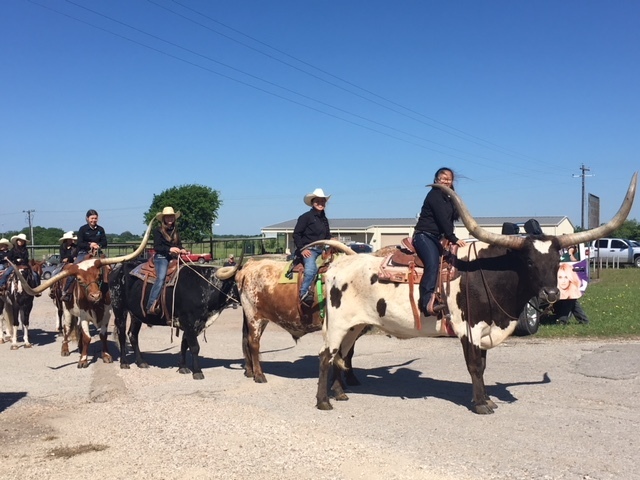 37th Annual Burton Cotton Gin Festival - 37th Annual Burton Cotton Gin Festival